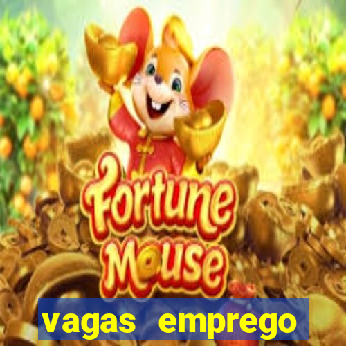 vagas emprego fazenda boa vista porto feliz